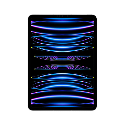 2022 11-inch iPad Pro Wi-Fi + Cellular 2TB - Silver (4th generation)