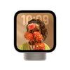 Apple HomeView