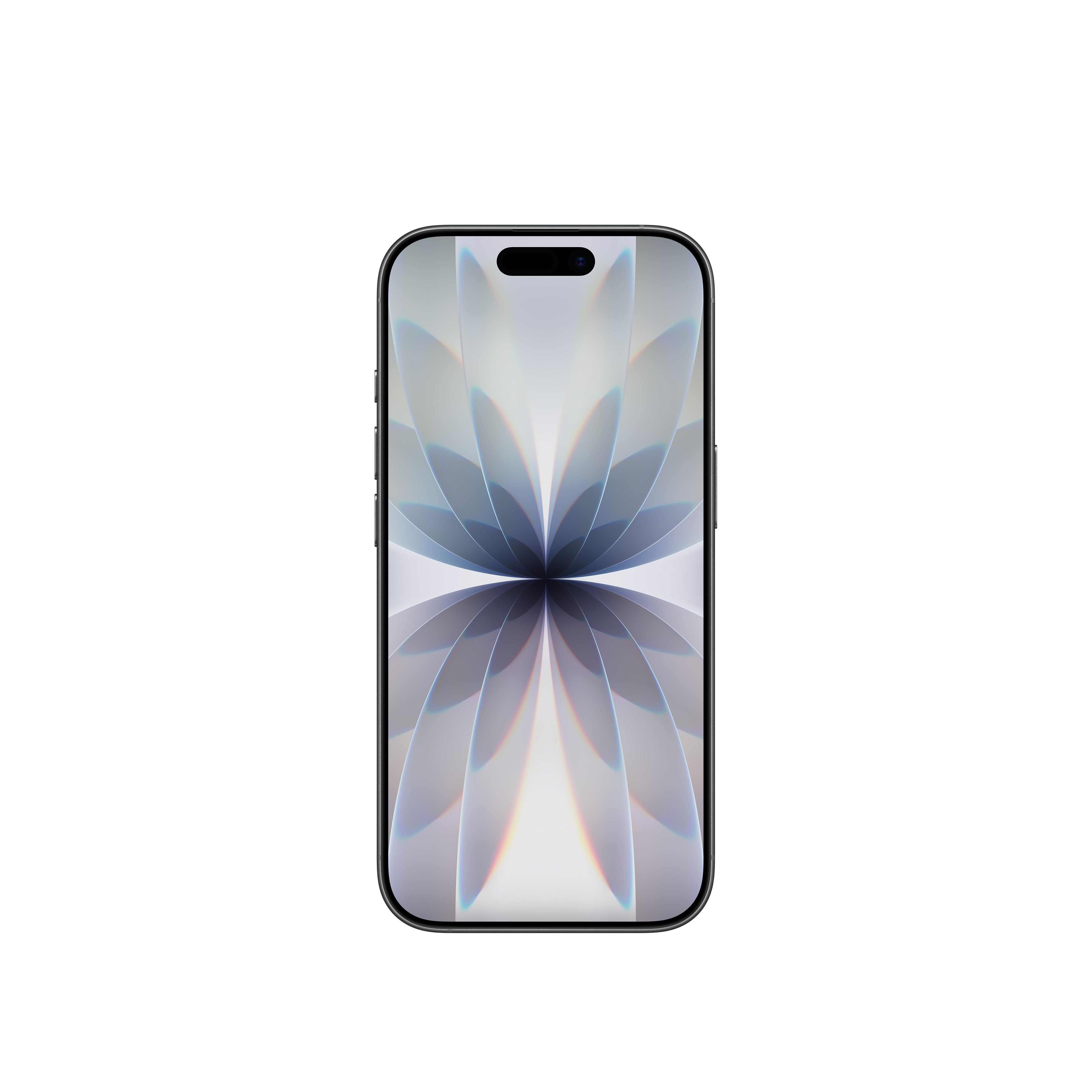 iPhone 17 256GB Black - 6.5