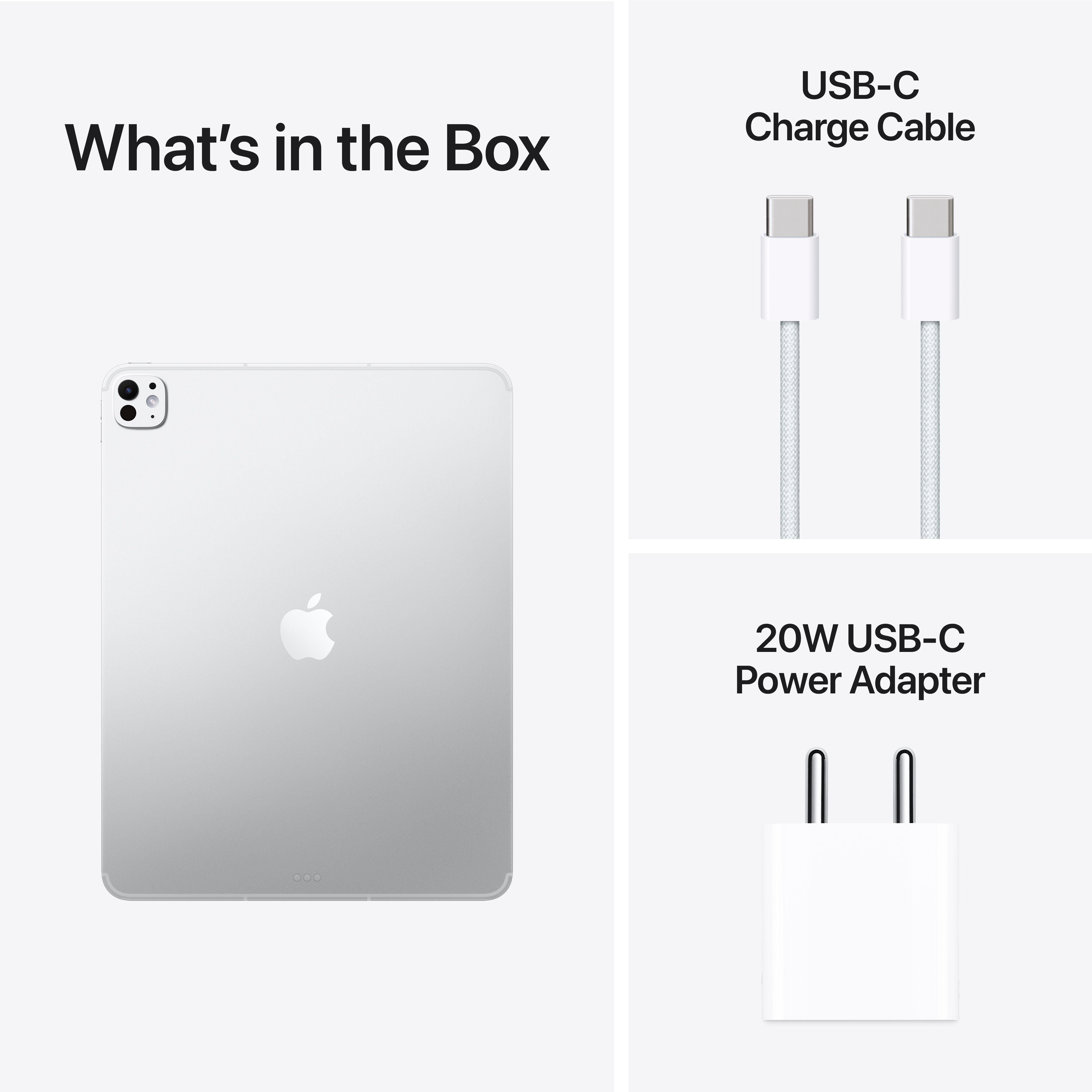 13-inch iPad Pro Wi-Fi + Cellular 2TB Standard Glass - Silver (M5