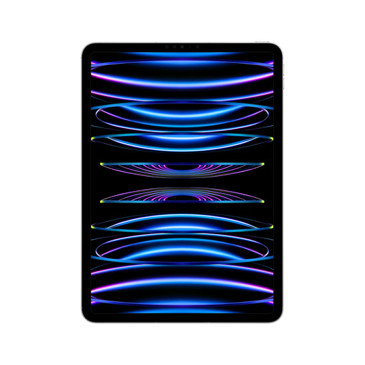 2022 11-inch iPad Pro Wi-Fi + Cellular 2TB - Silver (4th generation)