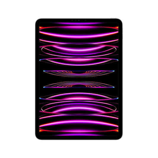 2022 11-inch iPad Pro Wi-Fi 2TB - Space Grey (4th generation)