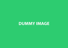 dummy